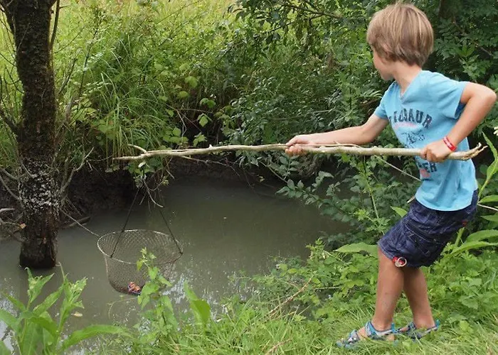 Mobil 6 Pers Pmr Avec Terrasse A - Api-1-52-343 *